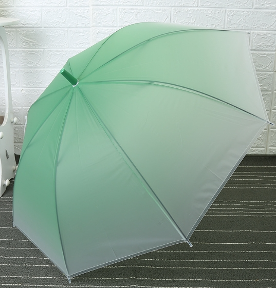 Plain Long Handle Transparent Umbrella