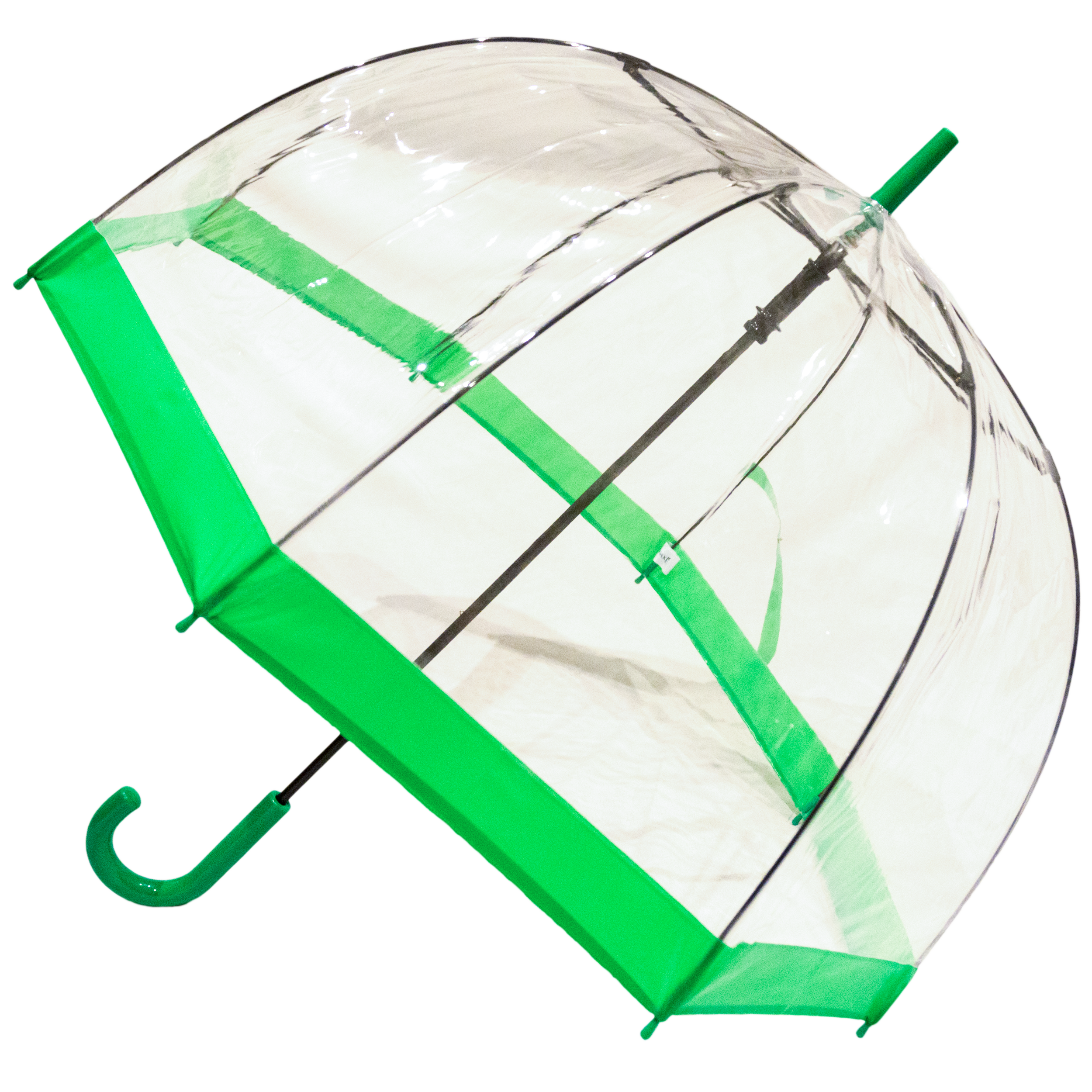 Everyday Clear Vinyl Dome Umbrella Green