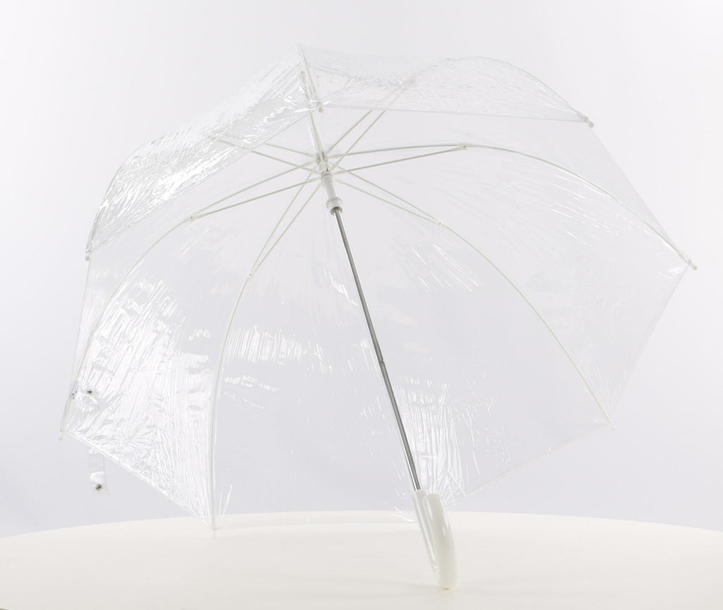 Everyday Clear Vinyl Dome Umbrella Plain