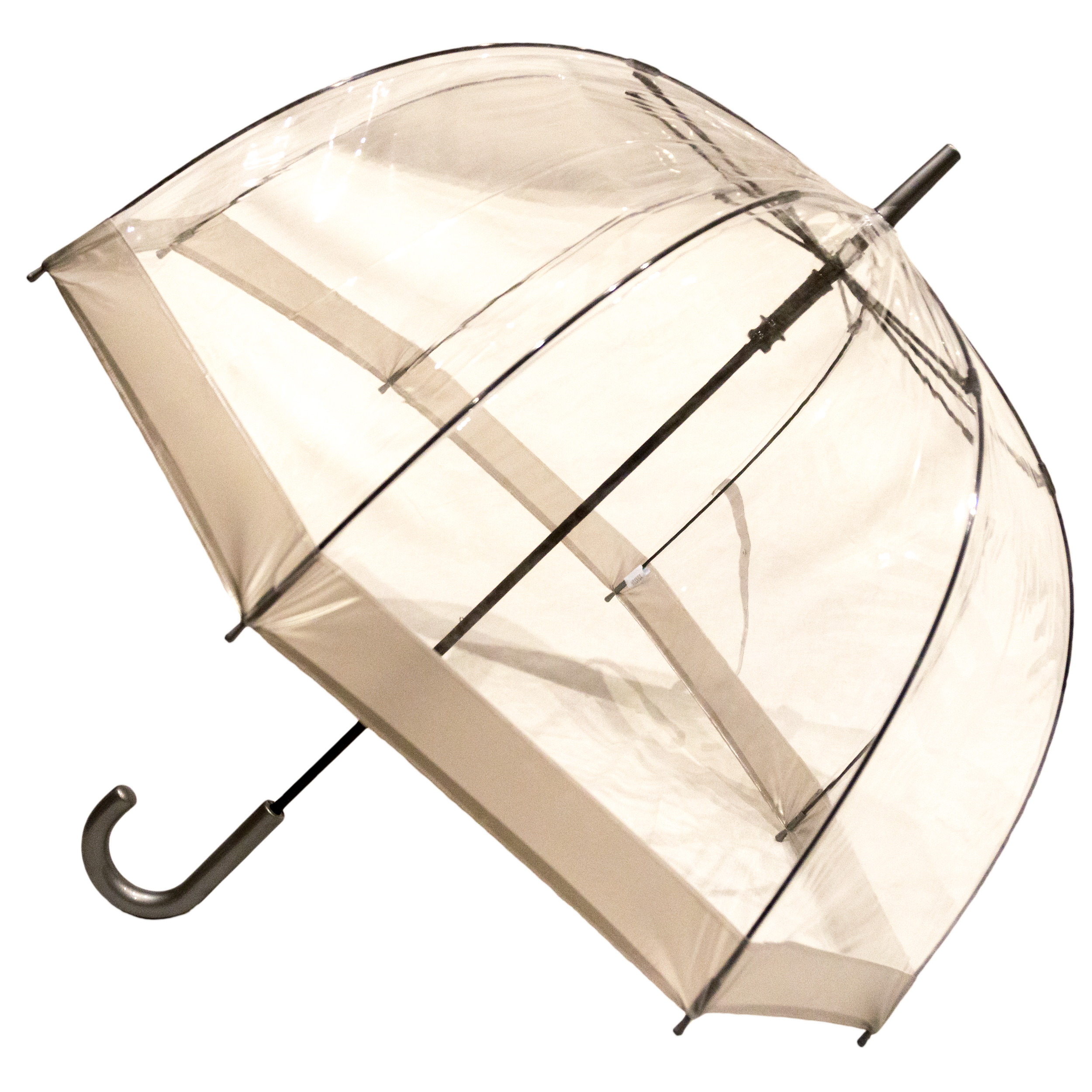 Everyday Clear Vinyl Dome Umbrella Silver