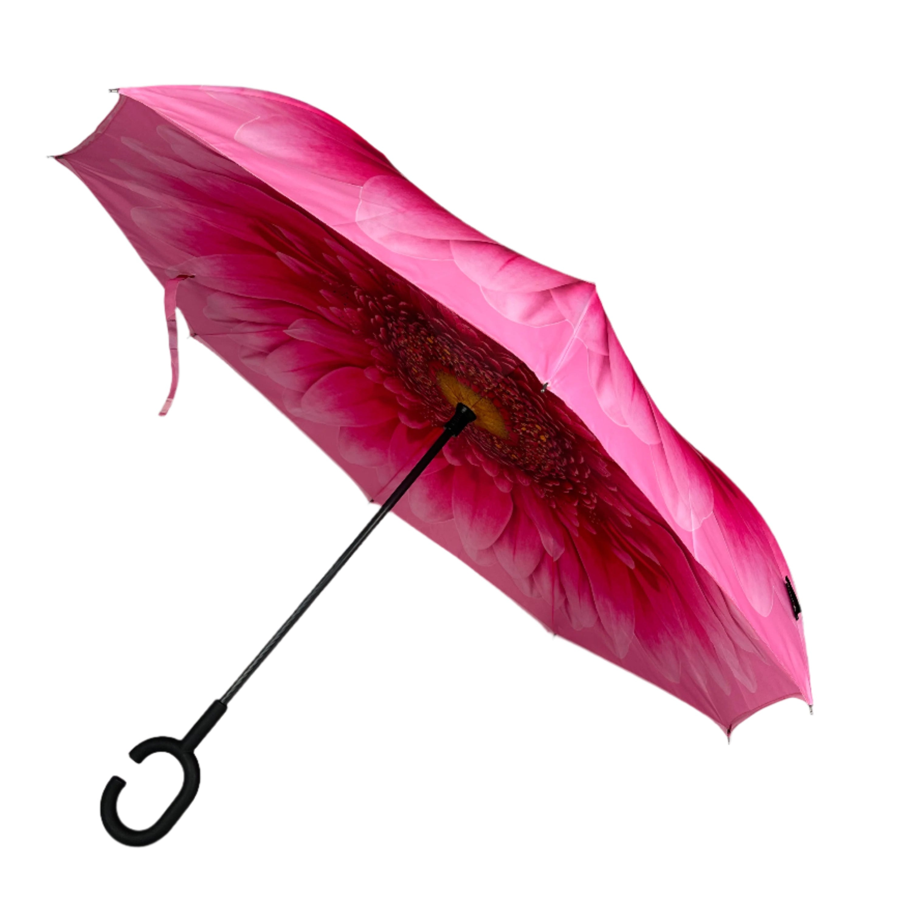 Everyday Inside Out Gerbera Daisy Stick