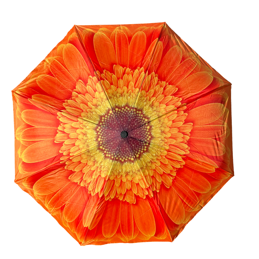 Everyday Inside Out Orange Daisy Stick