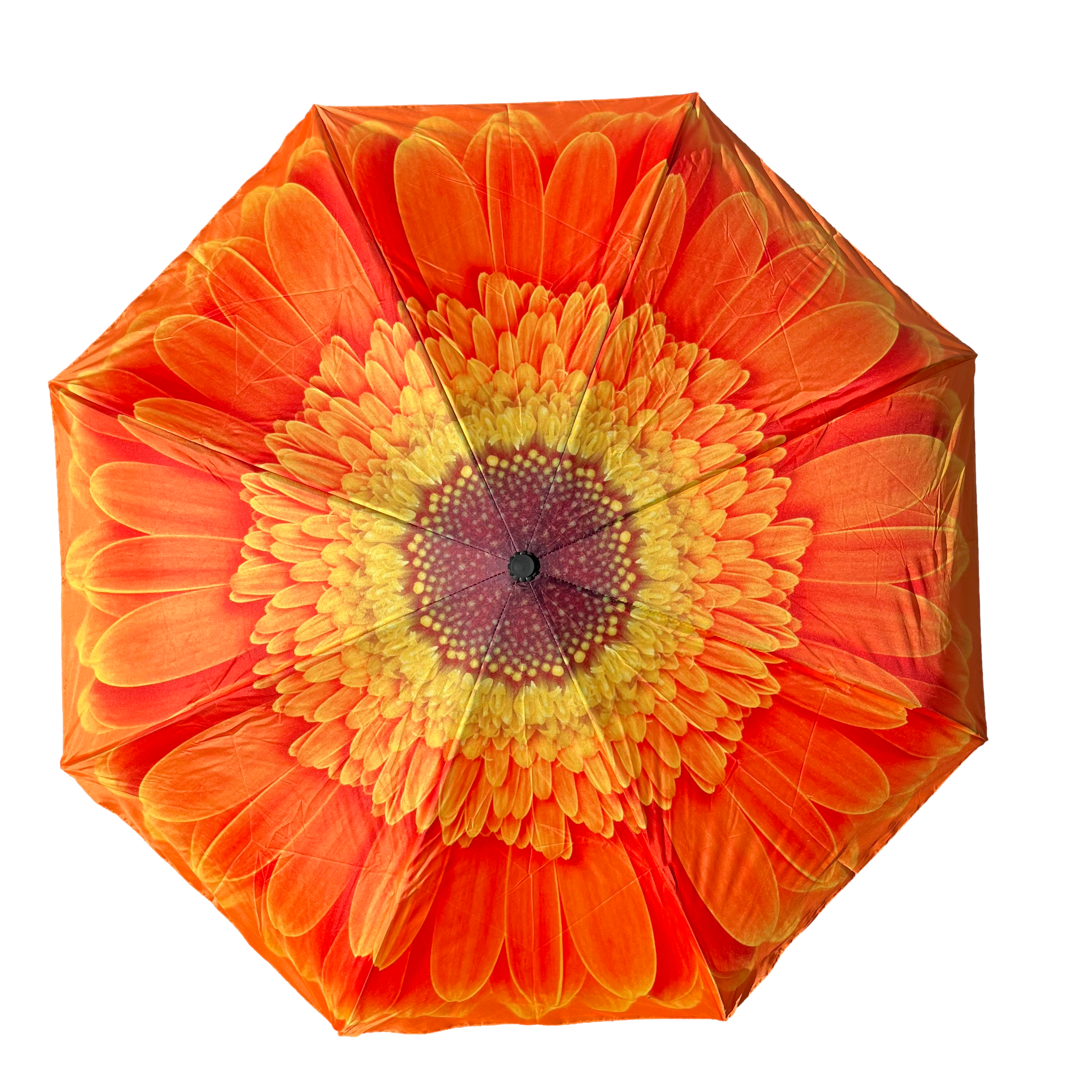 Everyday Inside Out Orange Daisy Stick