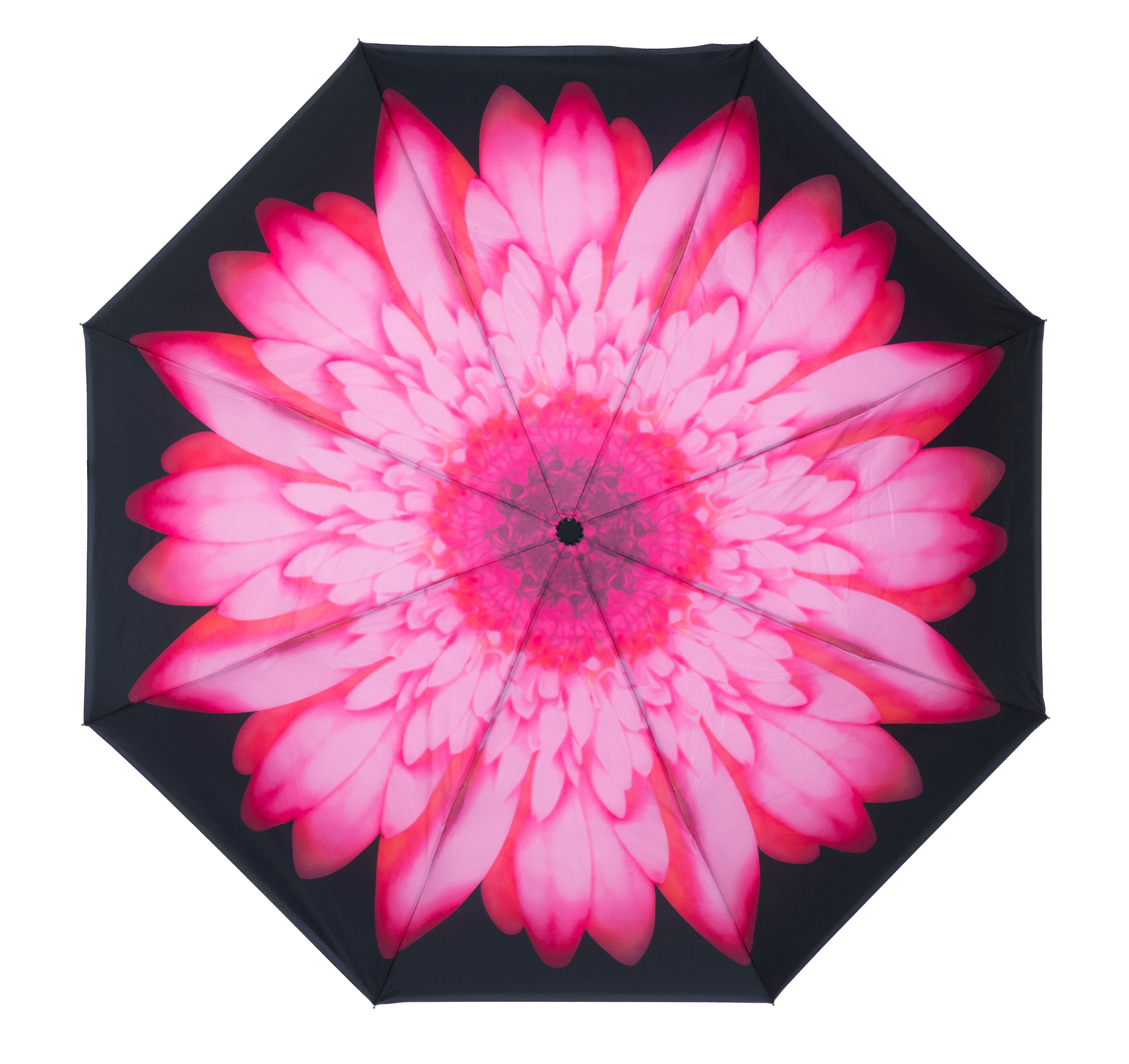 Everyday Inside Out Pink Daisy Stick