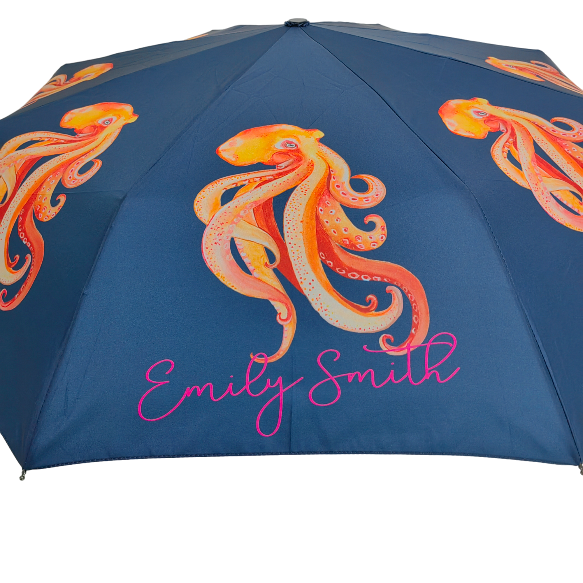 Emily Smith Designs Oscar Compact Umbrella