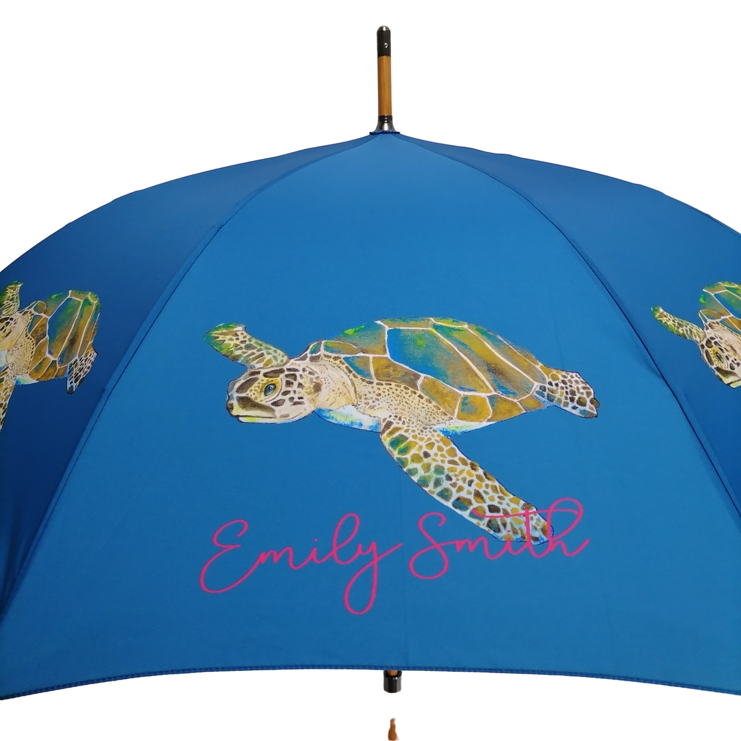 Emily Smith Designs Thomas Umbrella