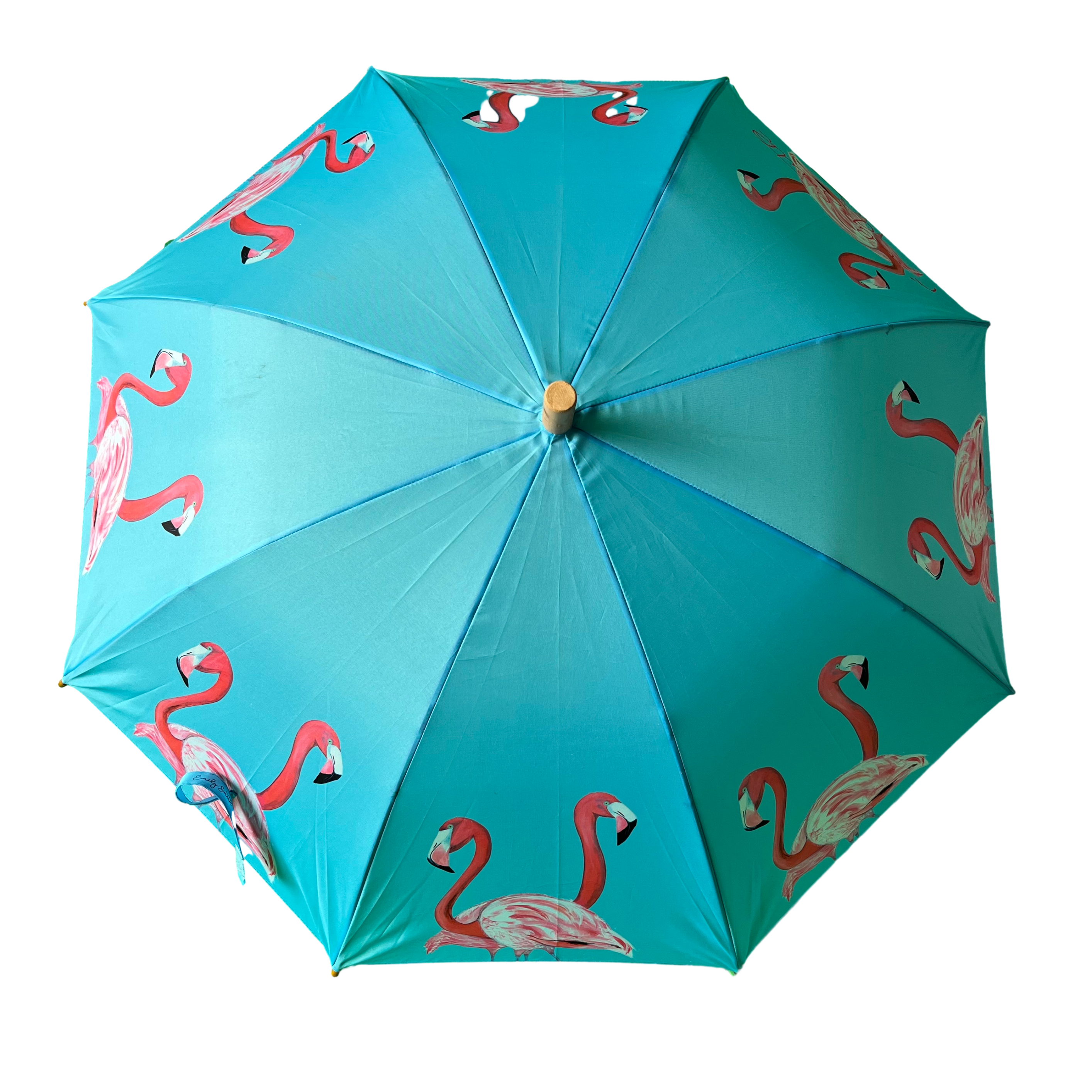 Emily Smith Designs Flossy & Amber Umbrella for Kids
