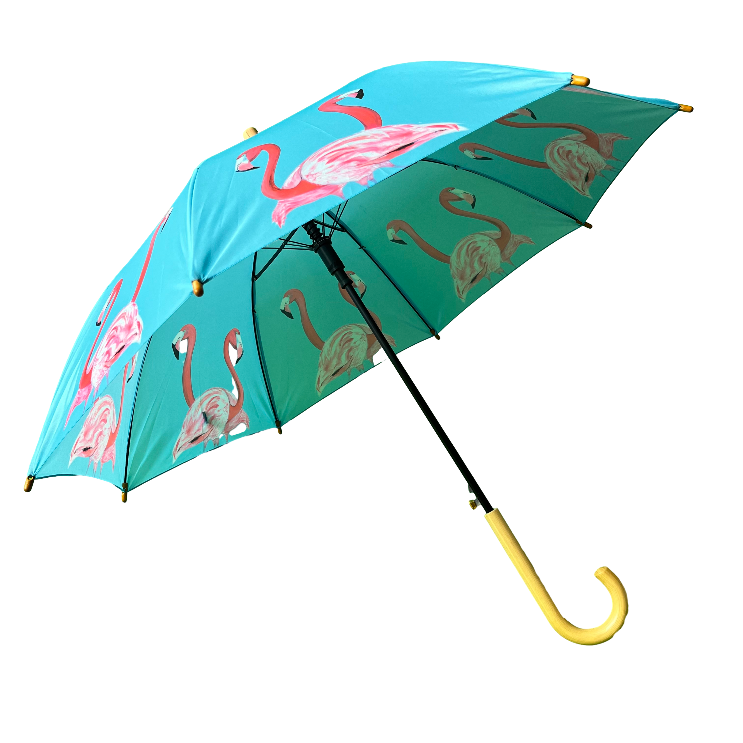 Emily Smith Designs Flossy & Amber Umbrella for Kids