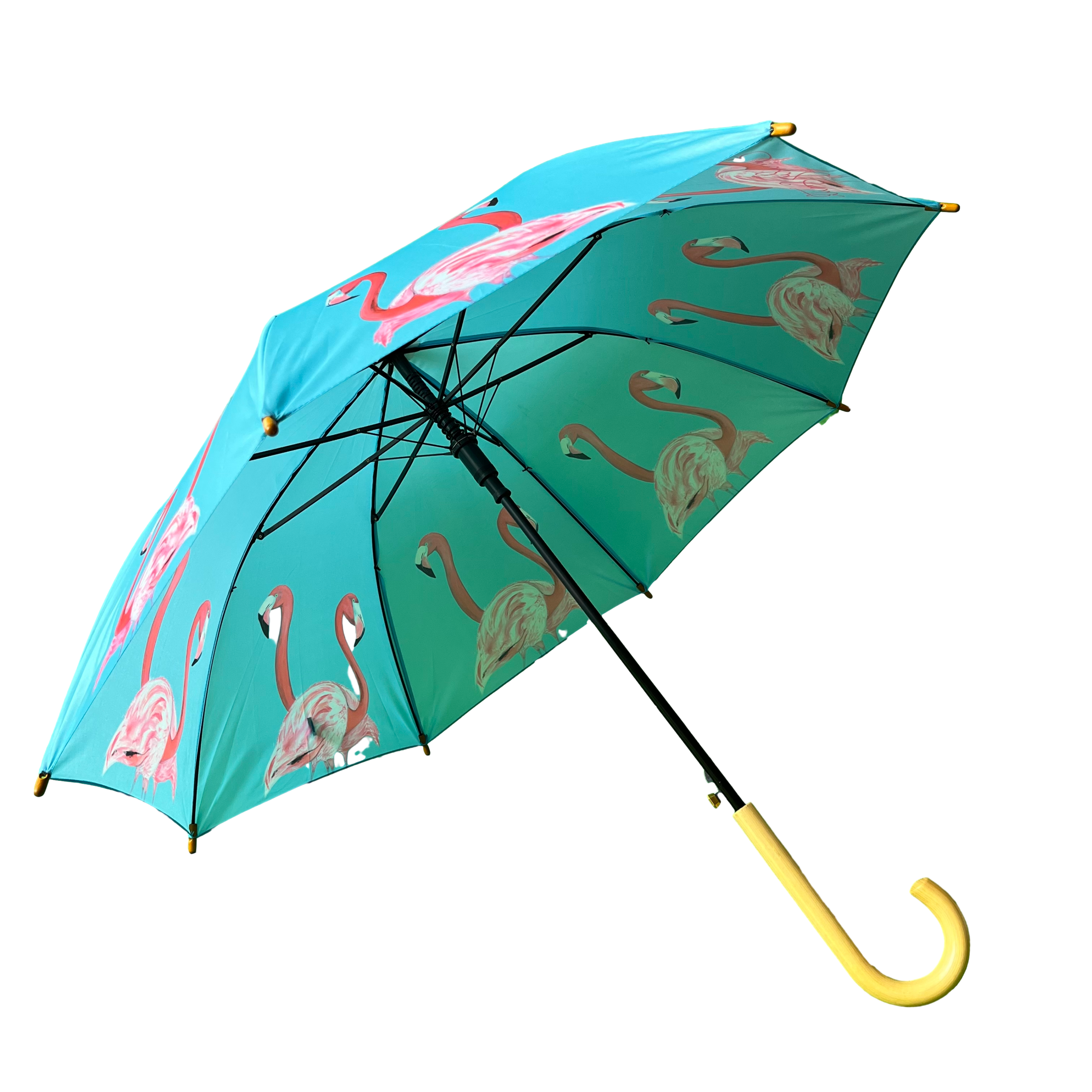 Emily Smith Designs Flossy & Amber Umbrella for Kids
