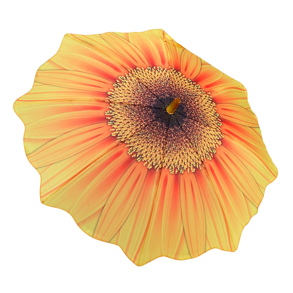 Galleria Kids Sun flower  13008