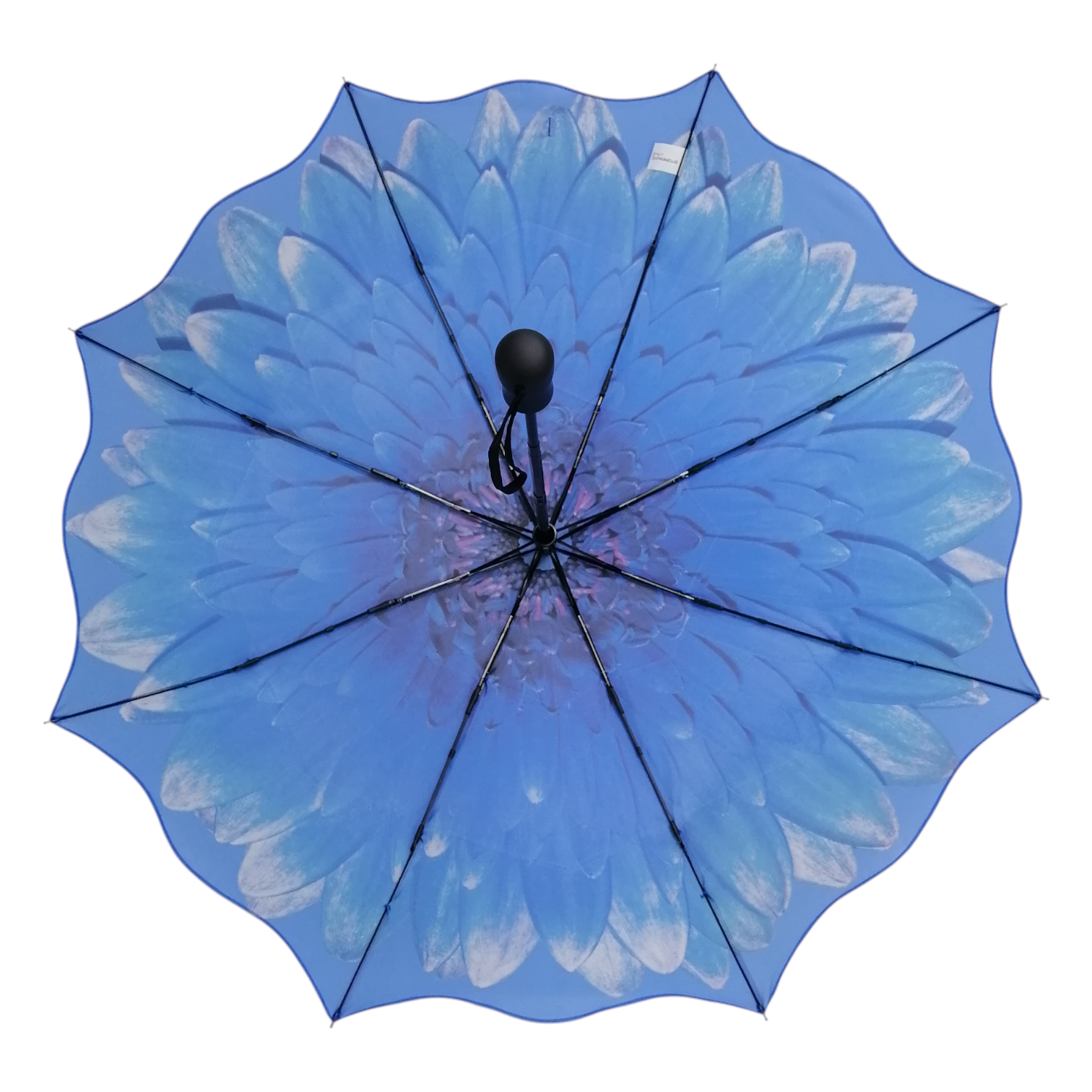 StormKing Folding Floral Umbrella Blue Daisy