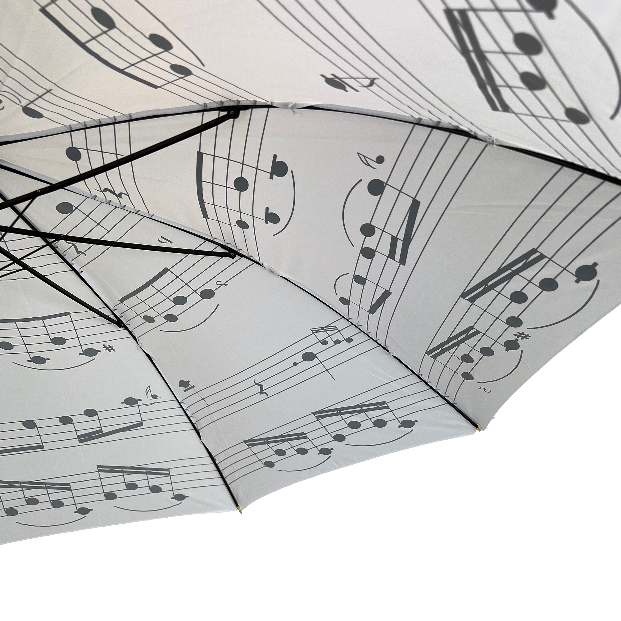 White Music Umbrella with Black Notes