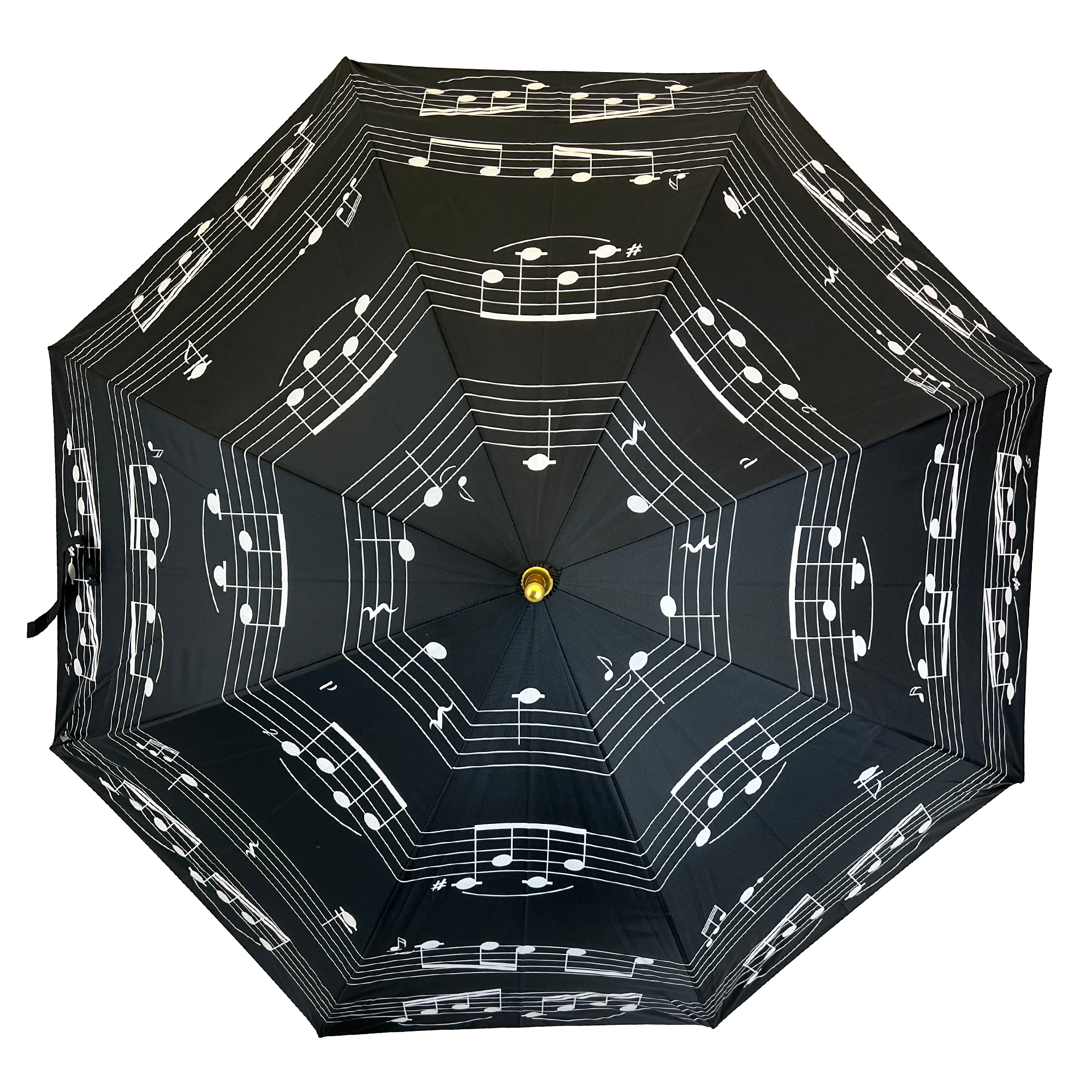 Black Music Umbrella with White Notes