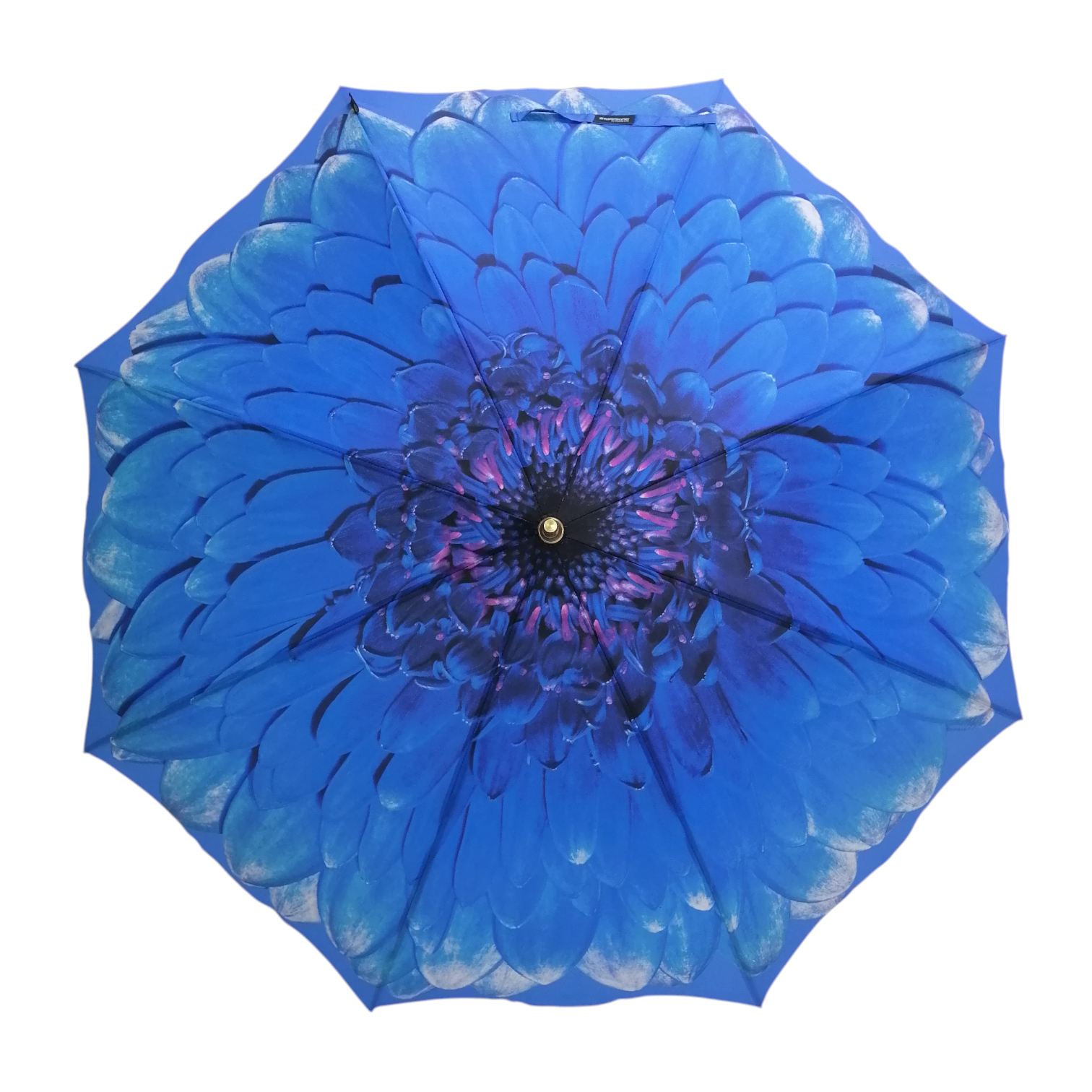 StormKing Floral Blue Daisy Classic Stick