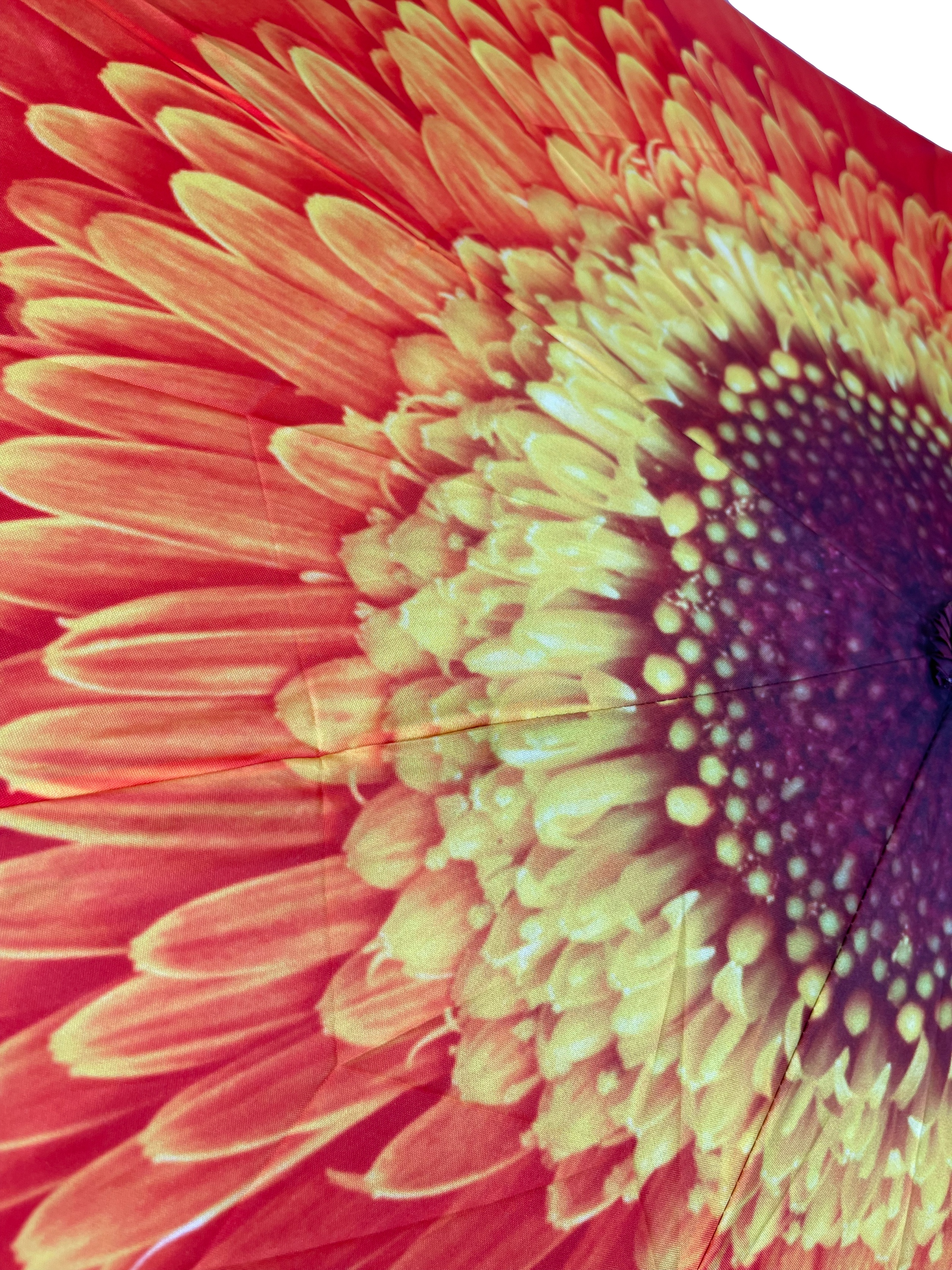 StormKing Folding Floral Umbrella Orange Daisy