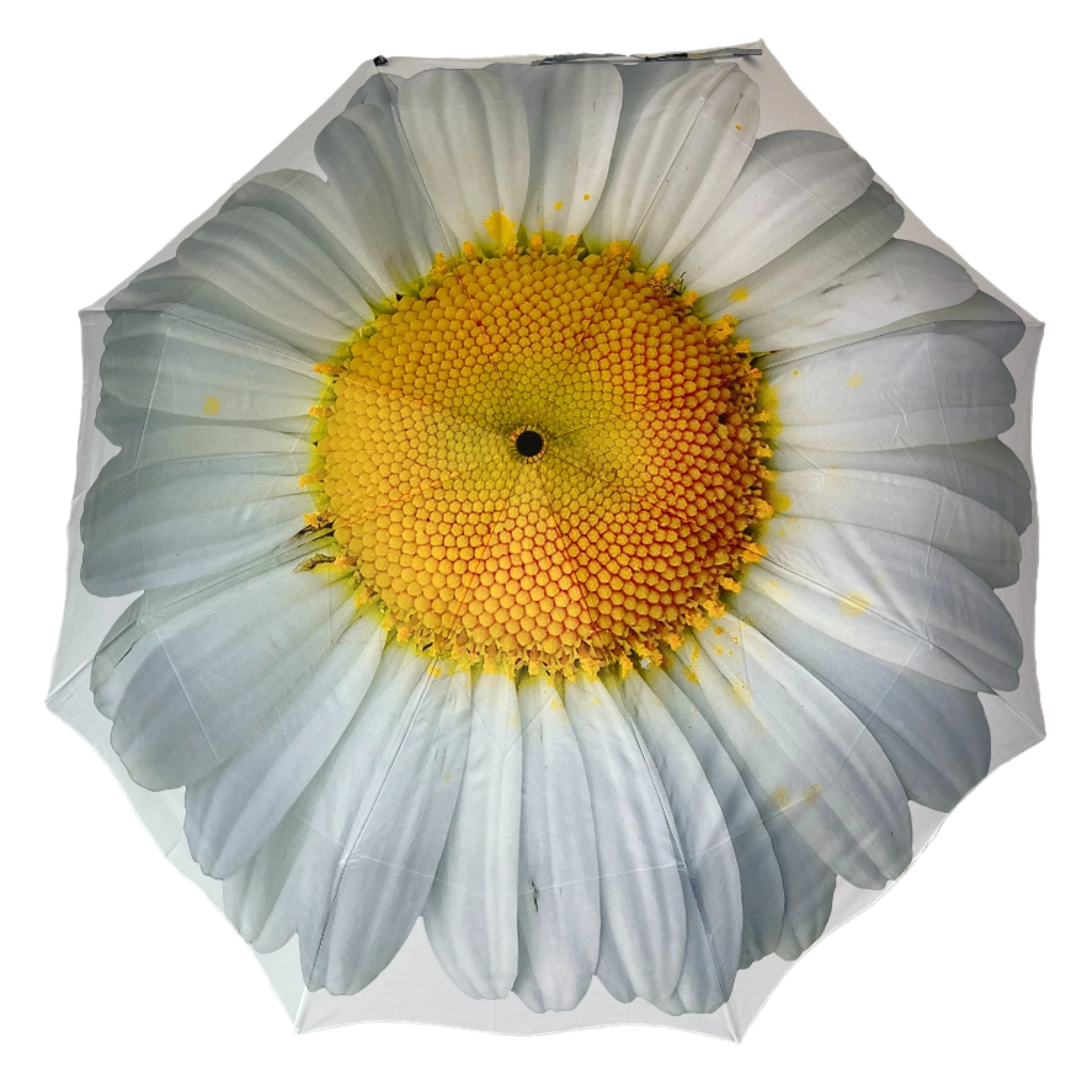 StormKing Folding Floral Umbrella White Daisy