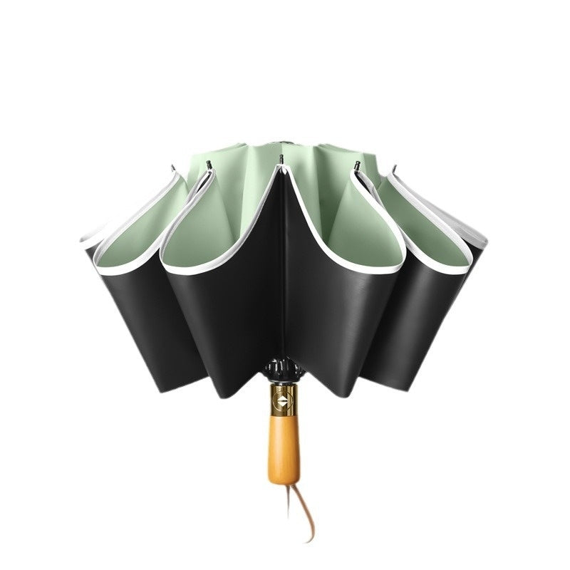 Wind-resistant Reinforced 10-bone Self-opening Umbrella