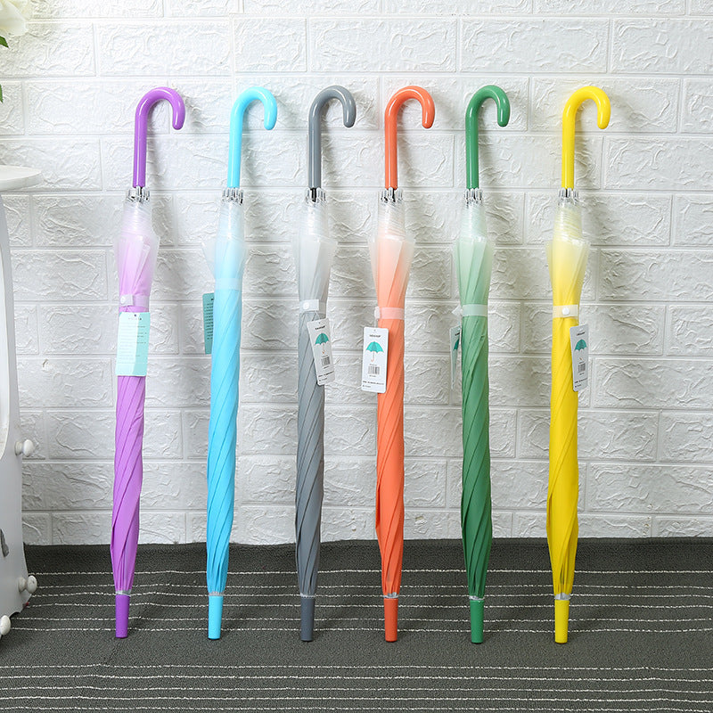 Plain Long Handle Transparent Umbrella